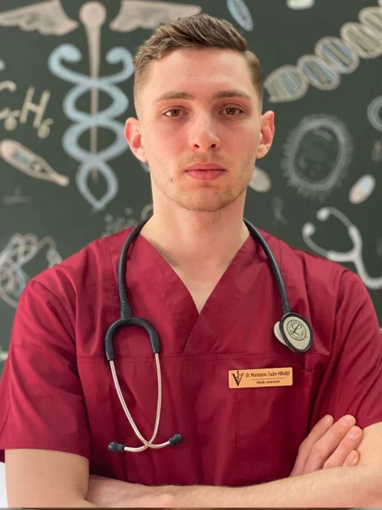 munteanu tudor mihaita